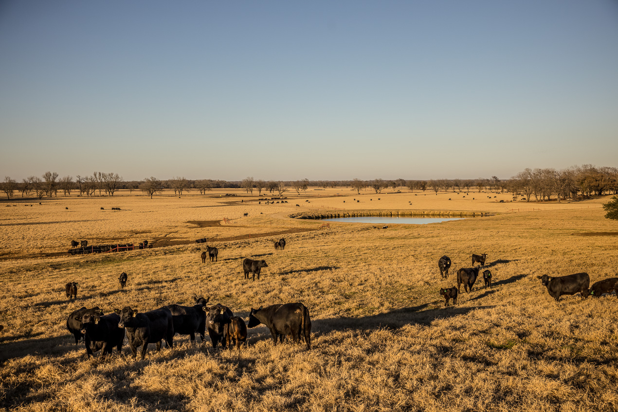 TMyers_44Farms_CameronTX_Dec2020-511403