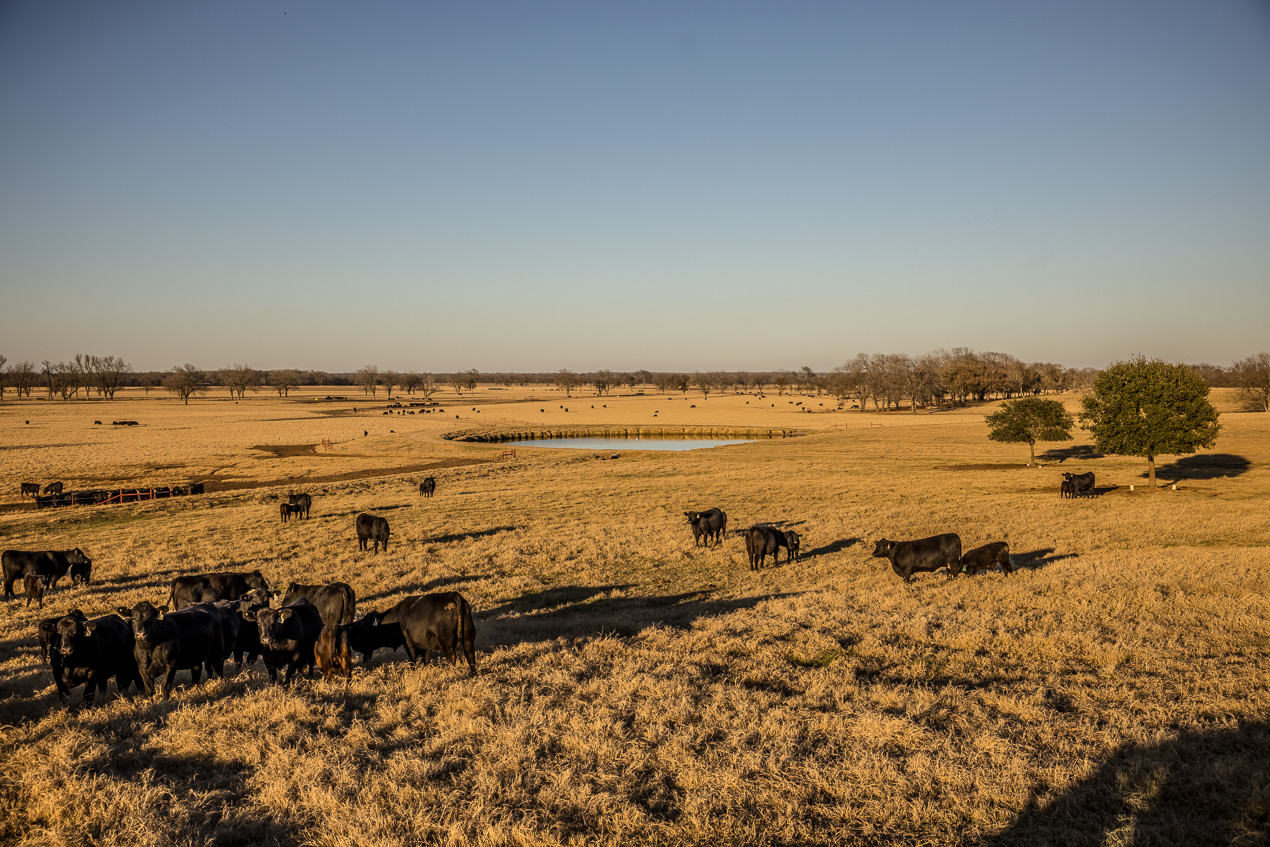 TMyers_44Farms_CameronTX_Dec2020-511413