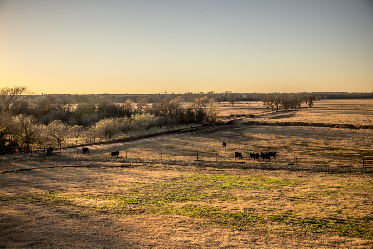 TMyers_44Farms_CameronTX_Dec2020-511459