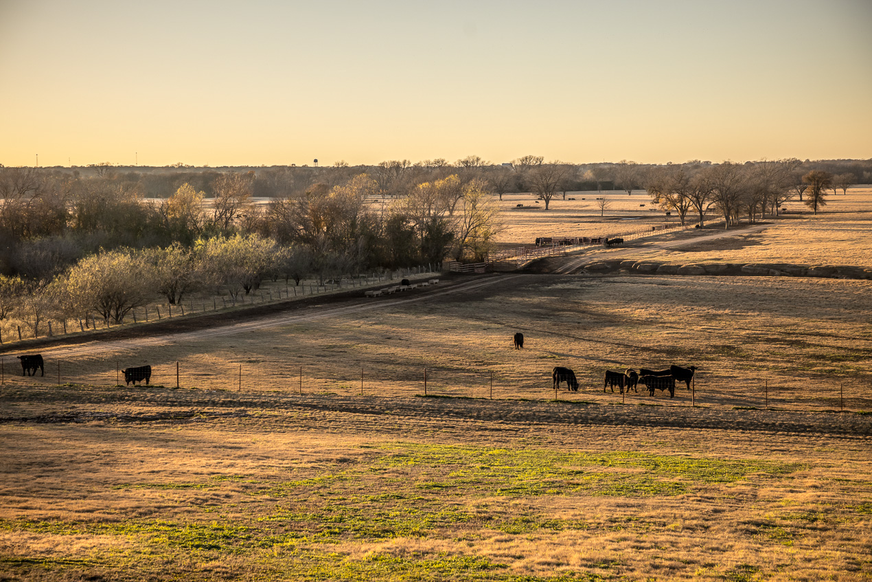 TMyers_44Farms_CameronTX_Dec2020-511460