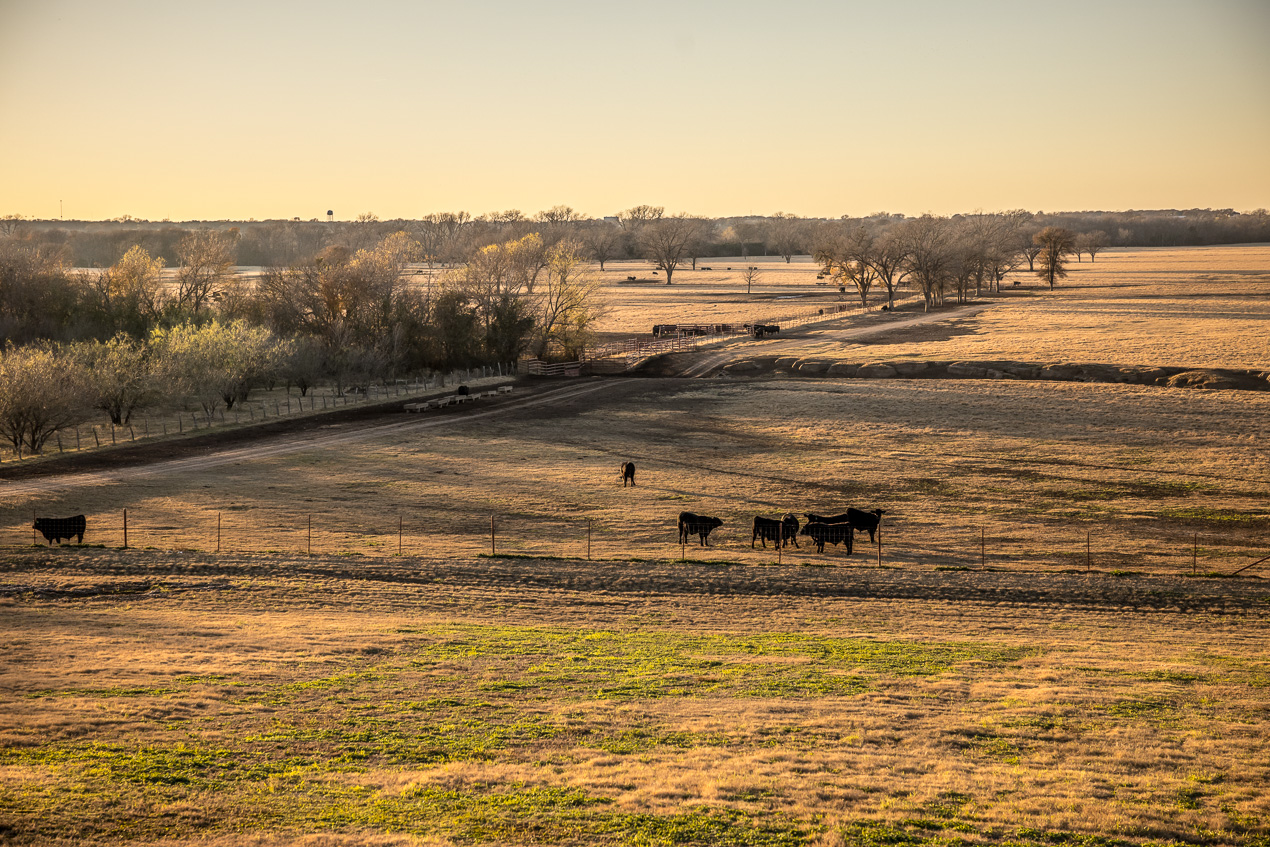 TMyers_44Farms_CameronTX_Dec2020-511463