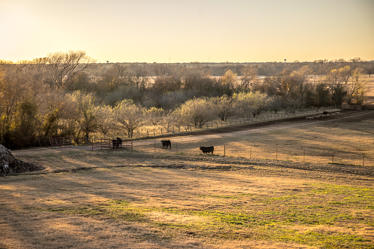 TMyers_44Farms_CameronTX_Dec2020-511465