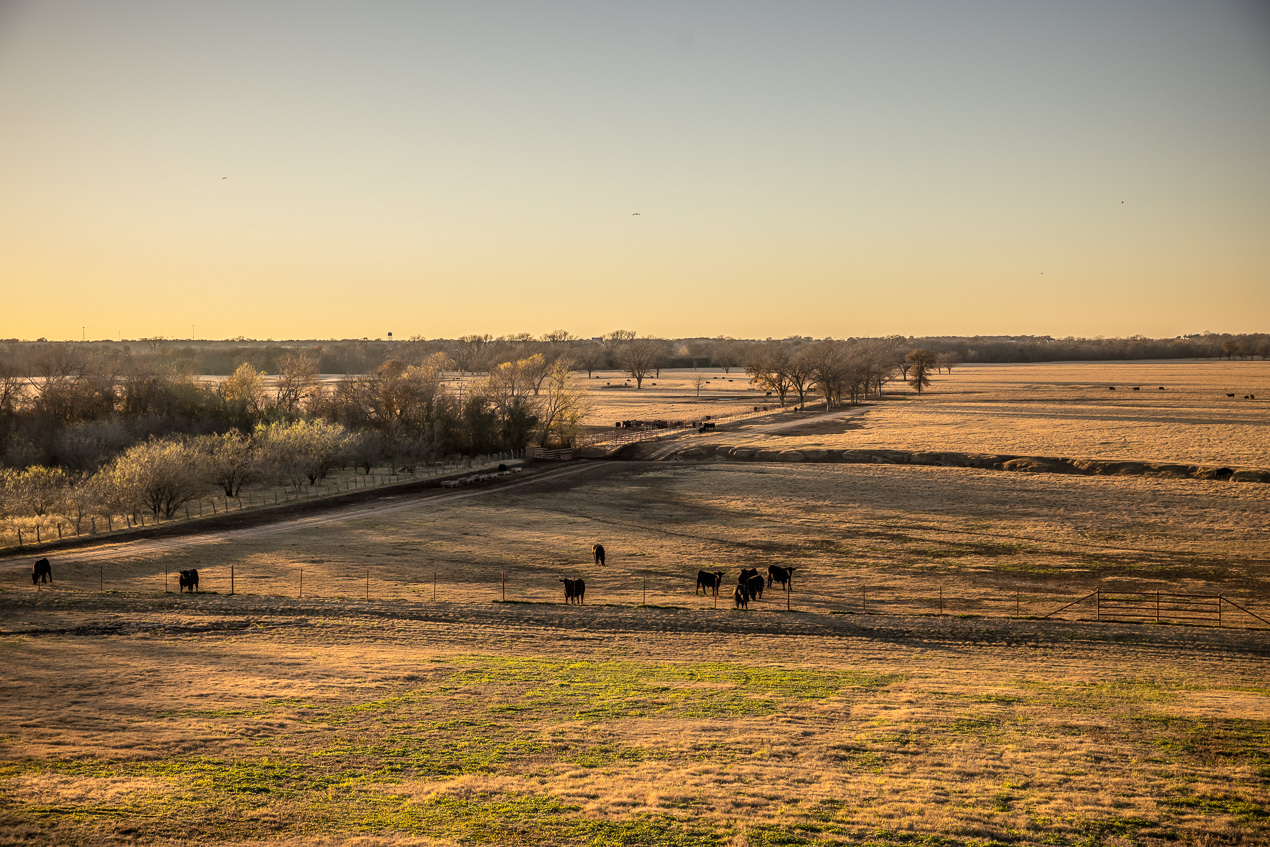 TMyers_44Farms_CameronTX_Dec2020-511483