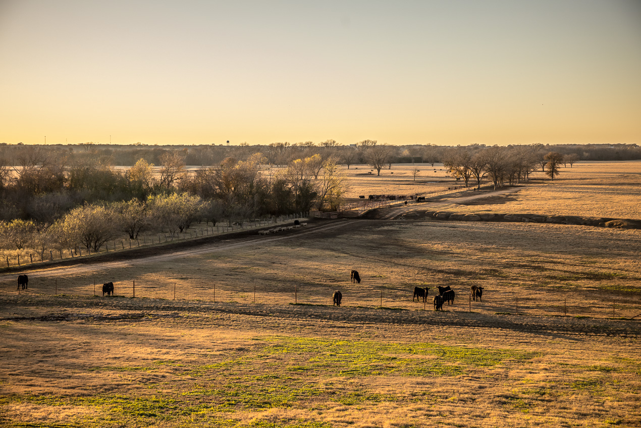 TMyers_44Farms_CameronTX_Dec2020-511485