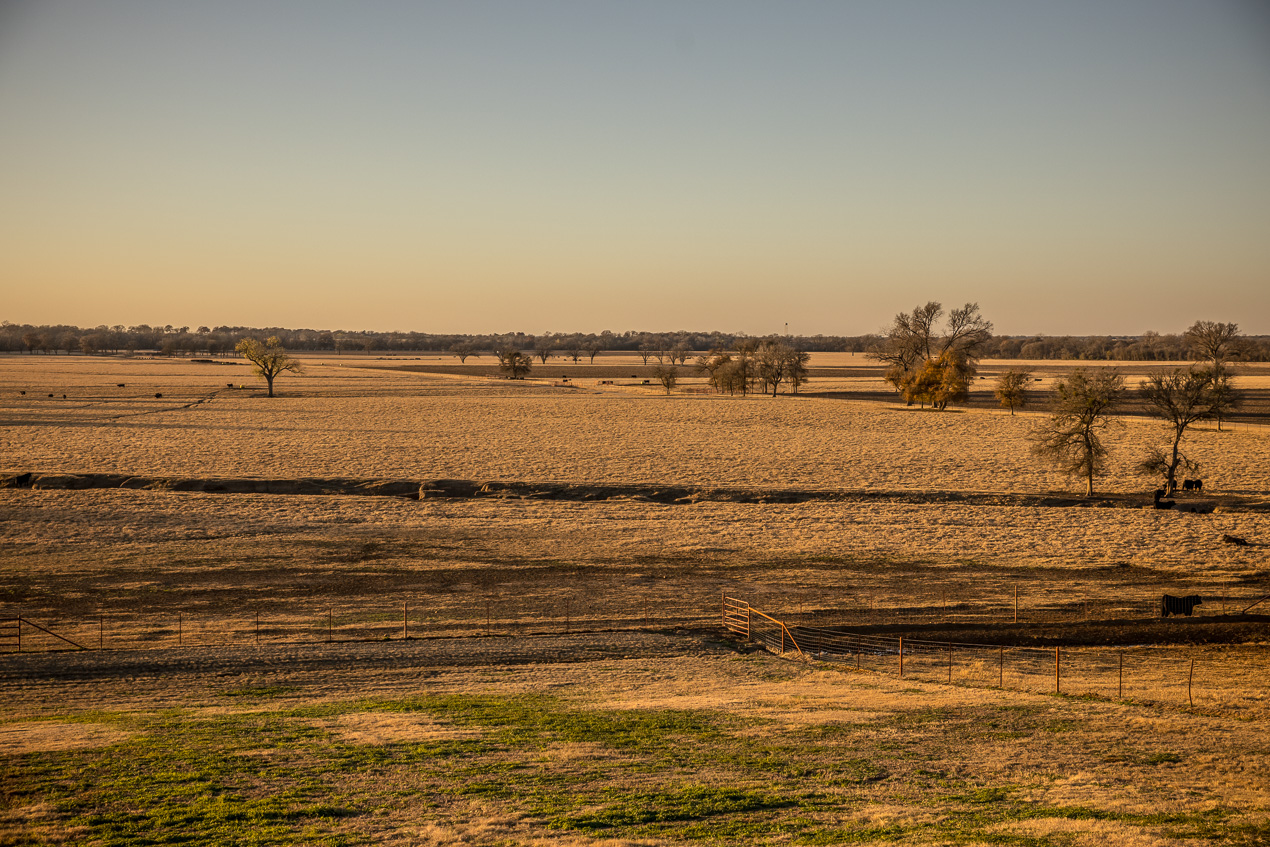 TMyers_44Farms_CameronTX_Dec2020-511488