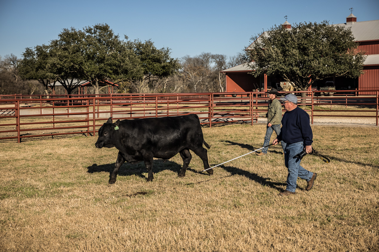 TMyers_44Farms_CameronTX_Dec2020-510692