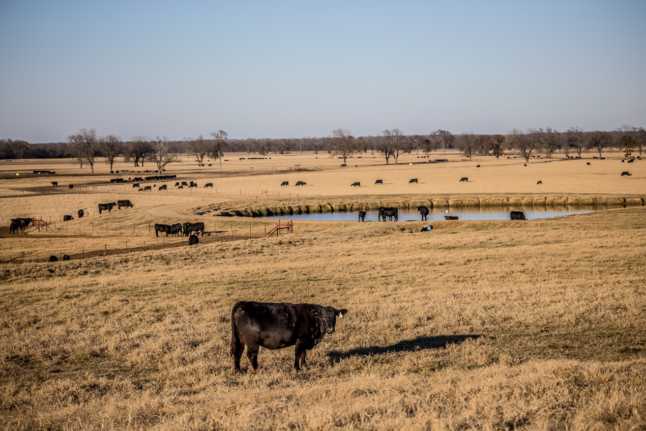 TMyers_44Farms_CameronTX_Dec2020-511250