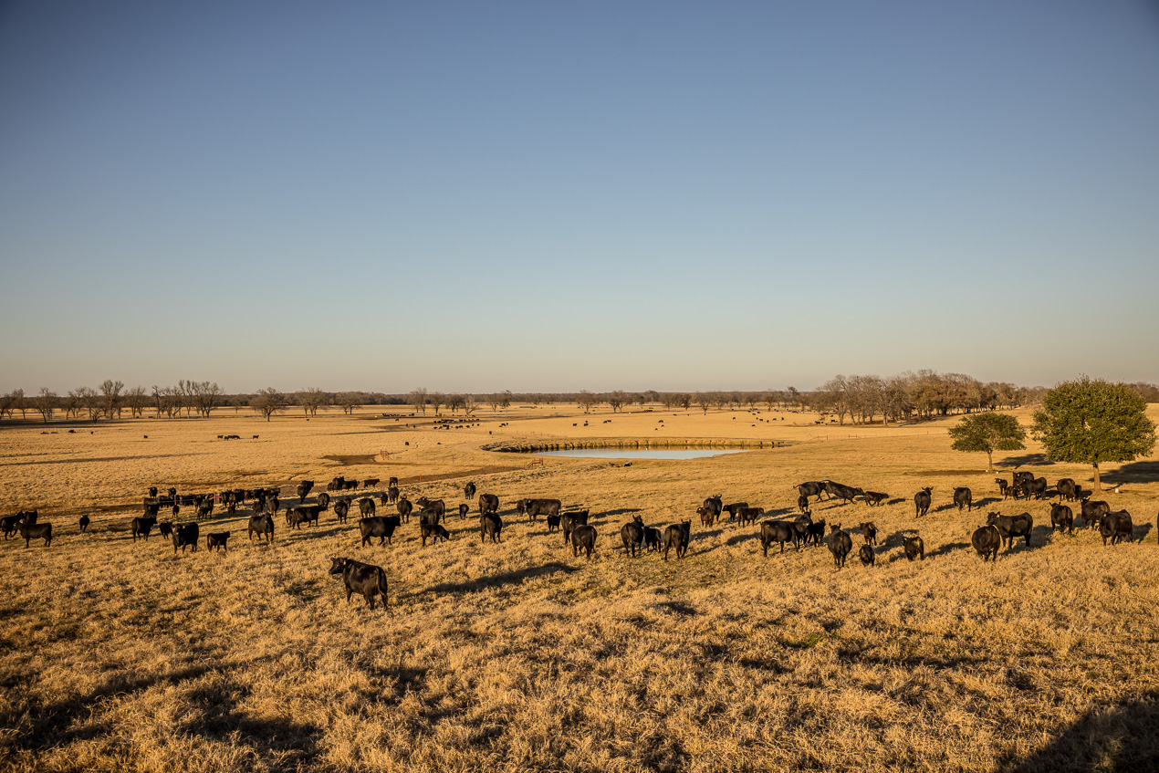TMyers_44Farms_CameronTX_Dec2020-511423