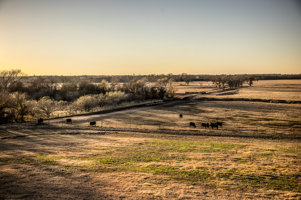 TMyers_44Farms_CameronTX_Dec2020-511459-1