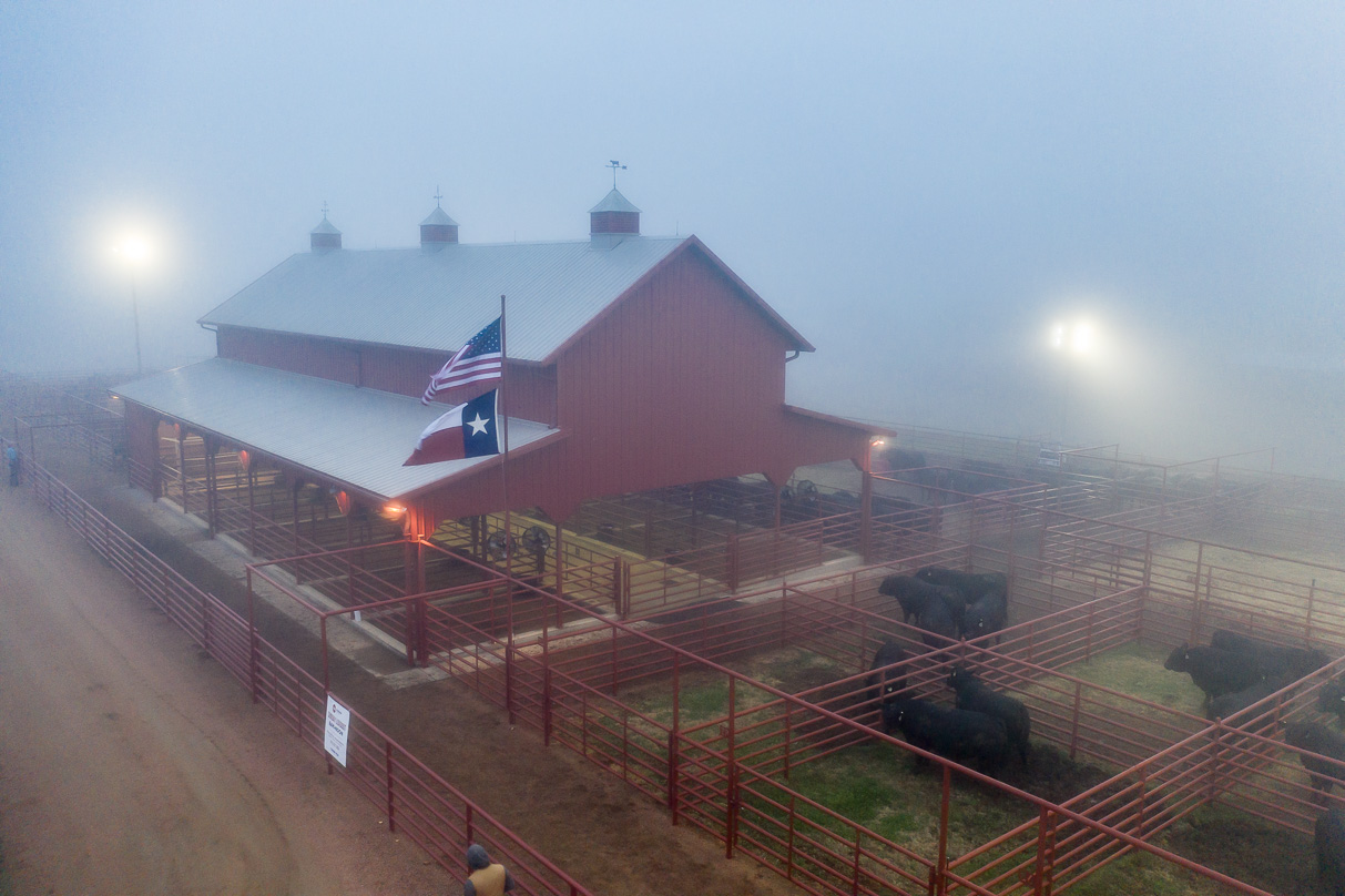 44Farms_Cameron_BullSale_Feb2021-0587
