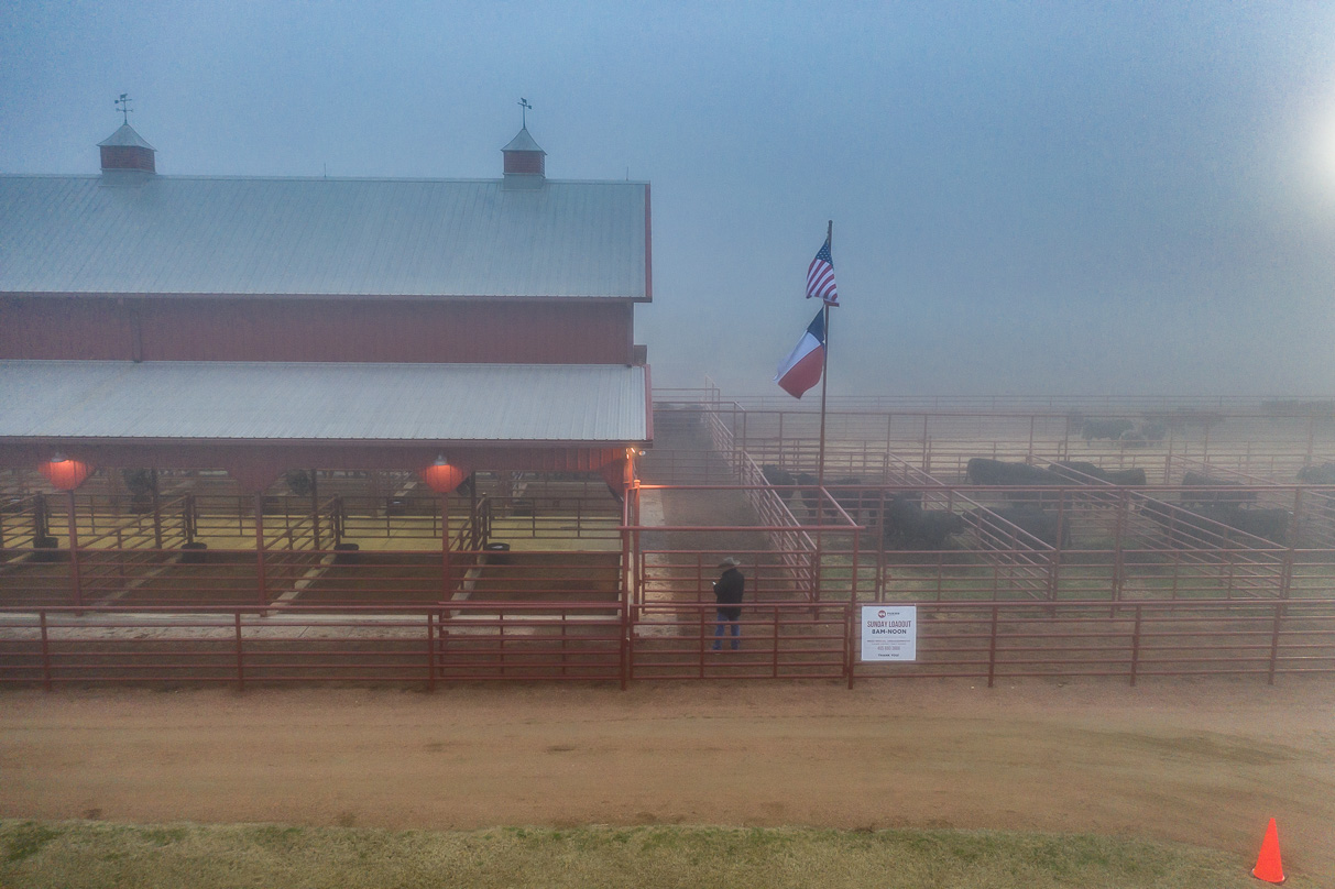 44Farms_Cameron_BullSale_Feb2021-0593
