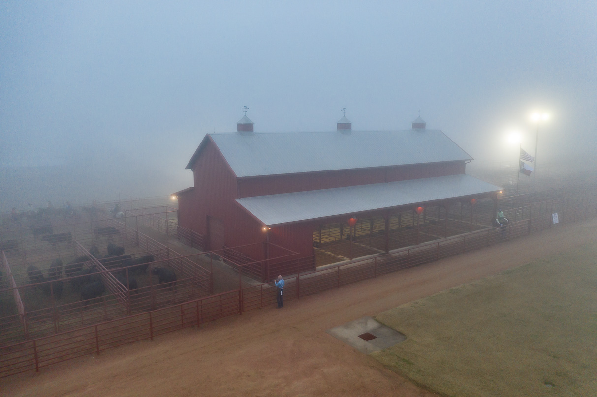 44Farms_Cameron_BullSale_Feb2021-0596