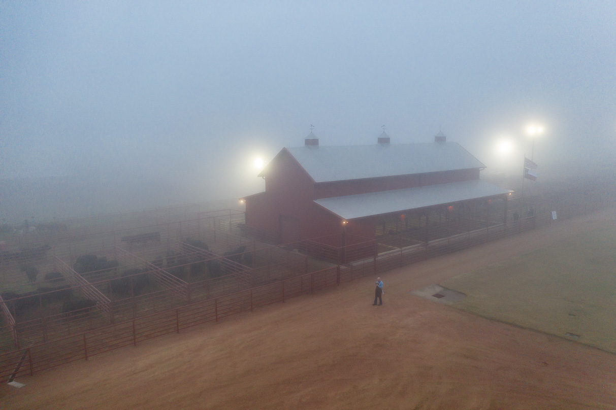 44Farms_Cameron_BullSale_Feb2021-0605