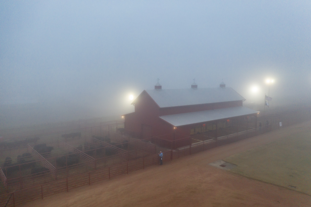 44Farms_Cameron_BullSale_Feb2021-0608