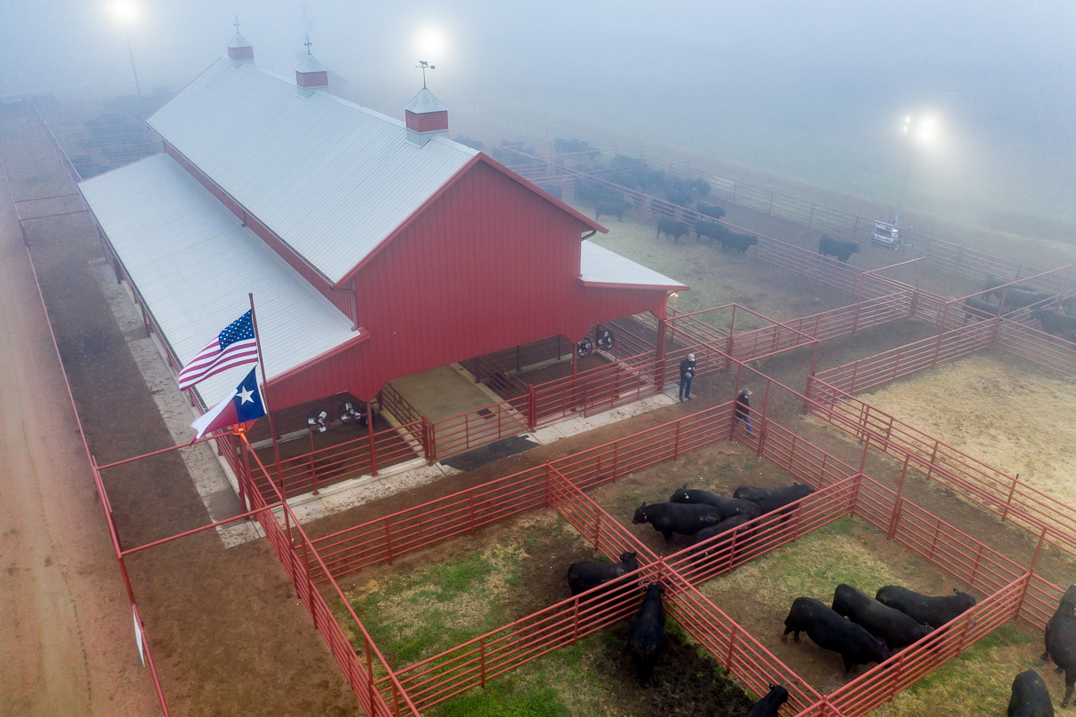 44Farms_Cameron_BullSale_Feb2021-0659
