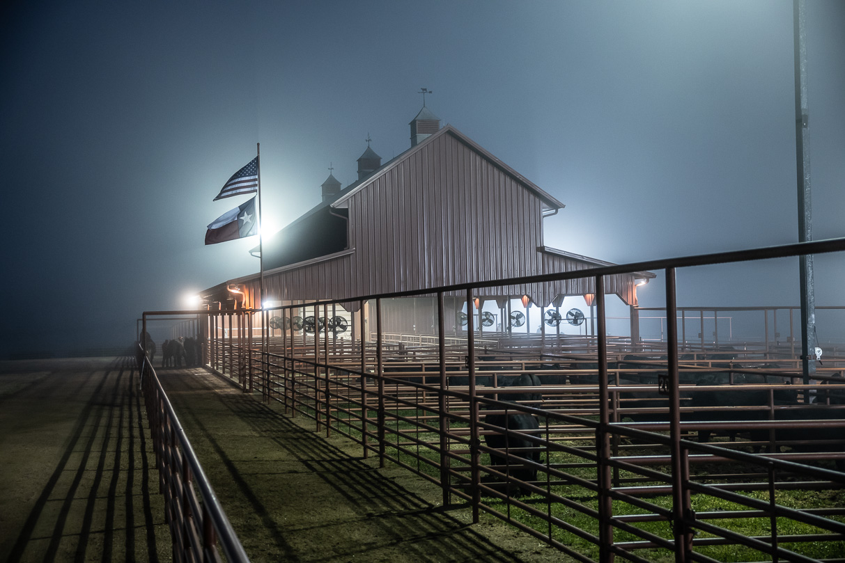 44Farms_Cameron_BullSale_Feb2021-515603