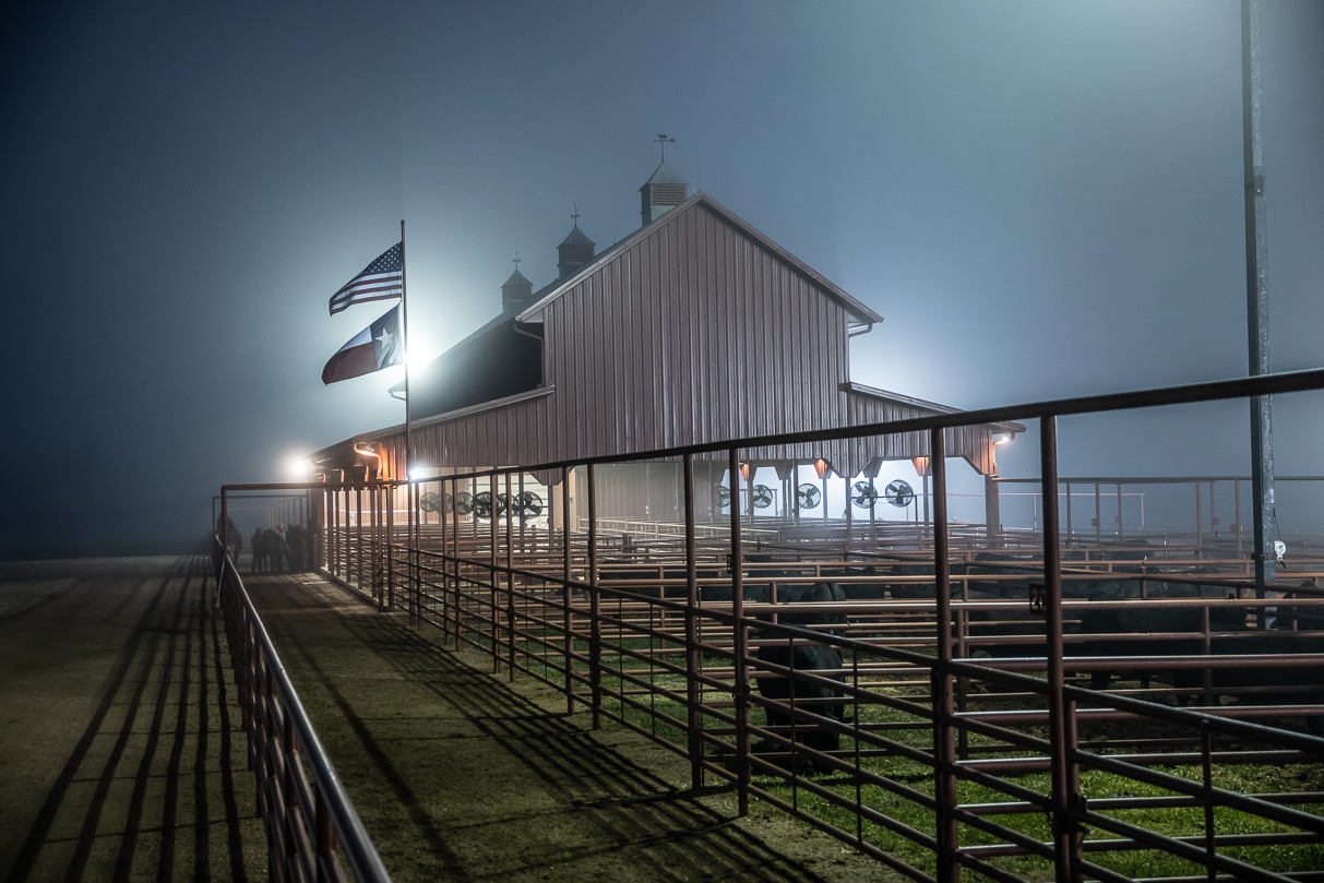 44Farms_Cameron_BullSale_Feb2021-515604