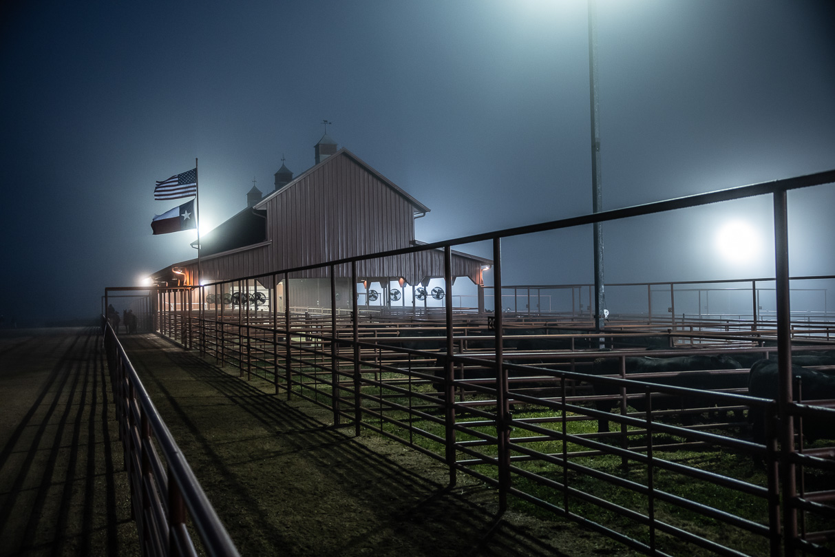 44Farms_Cameron_BullSale_Feb2021-515606