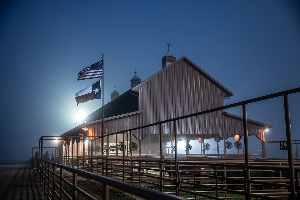 44Farms_Cameron_BullSale_Feb2021-515616
