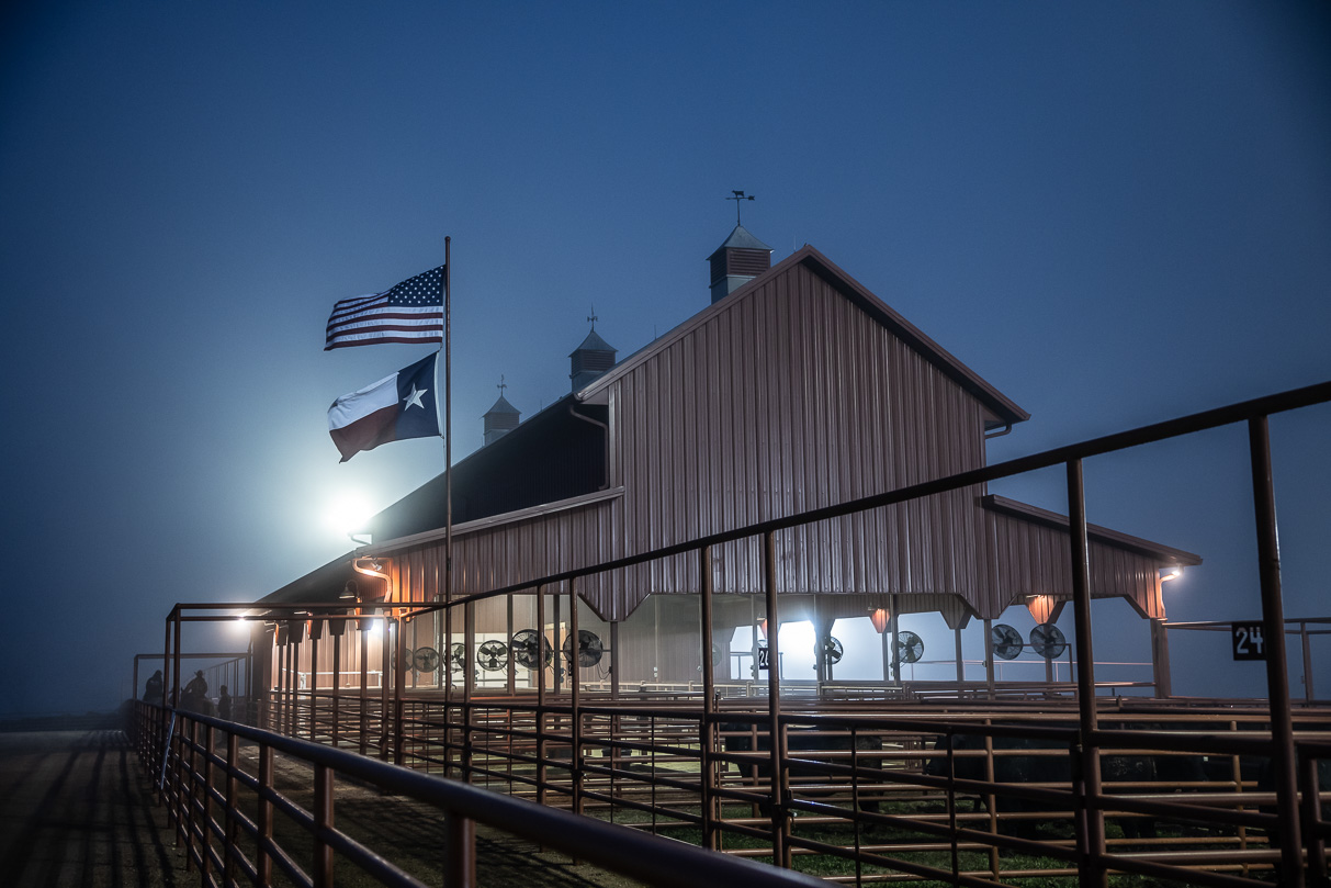 44Farms_Cameron_BullSale_Feb2021-515617