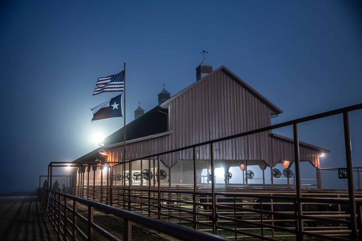 44Farms_Cameron_BullSale_Feb2021-515618