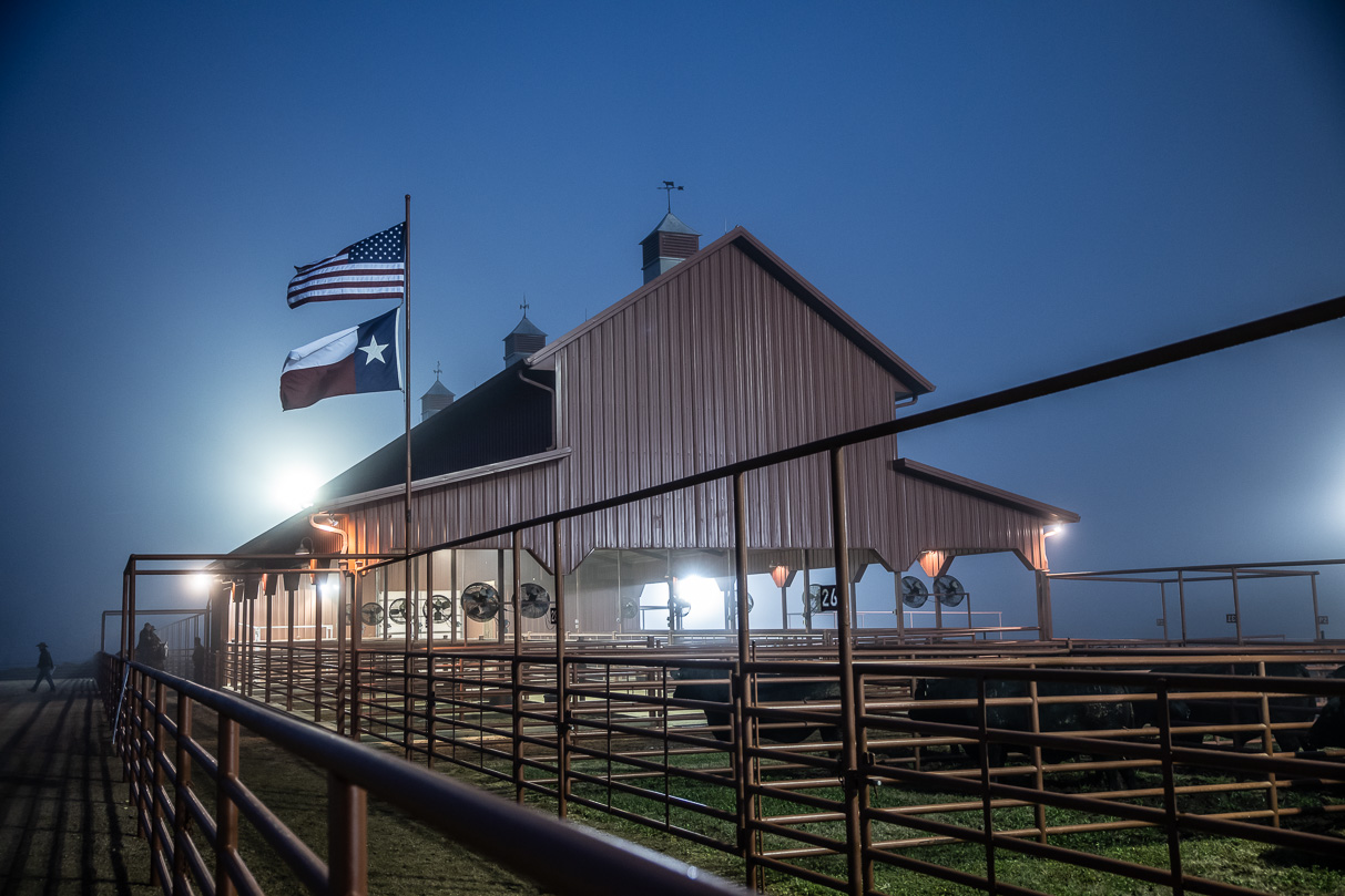 44Farms_Cameron_BullSale_Feb2021-515620