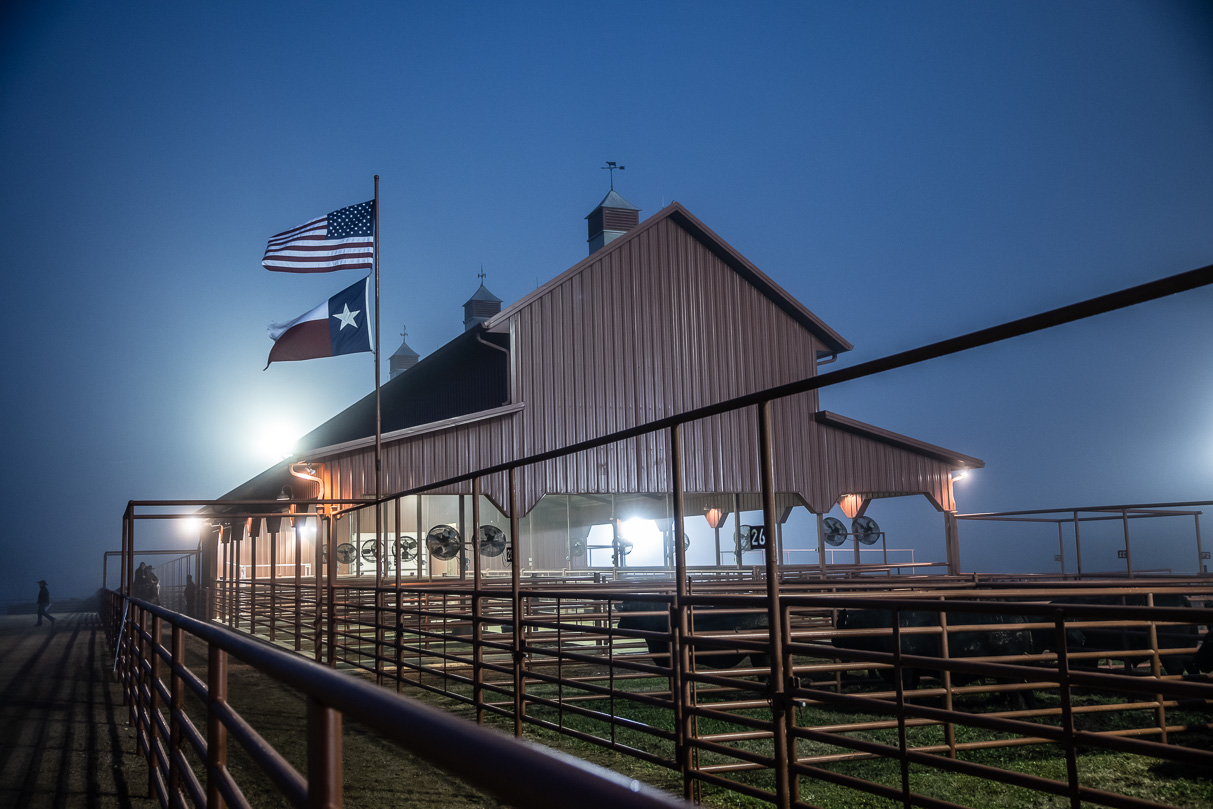 44Farms_Cameron_BullSale_Feb2021-515621