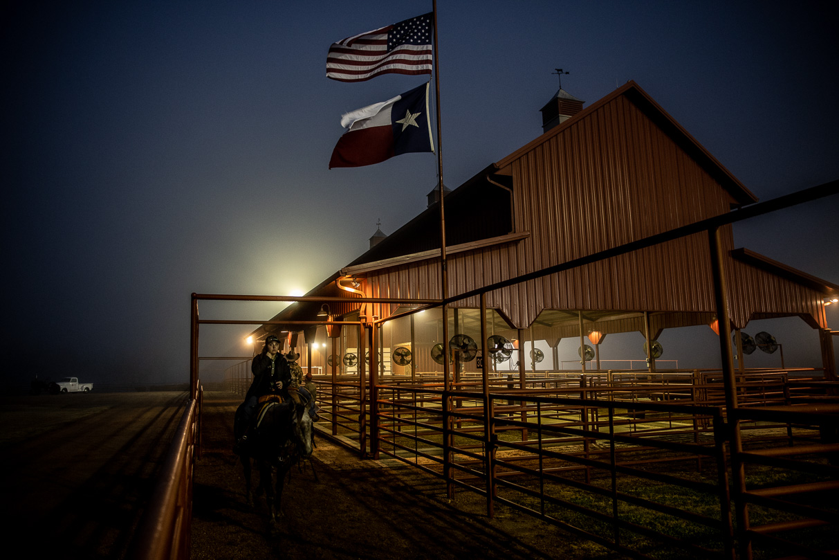 44Farms_Cameron_BullSale_Feb2021-515631