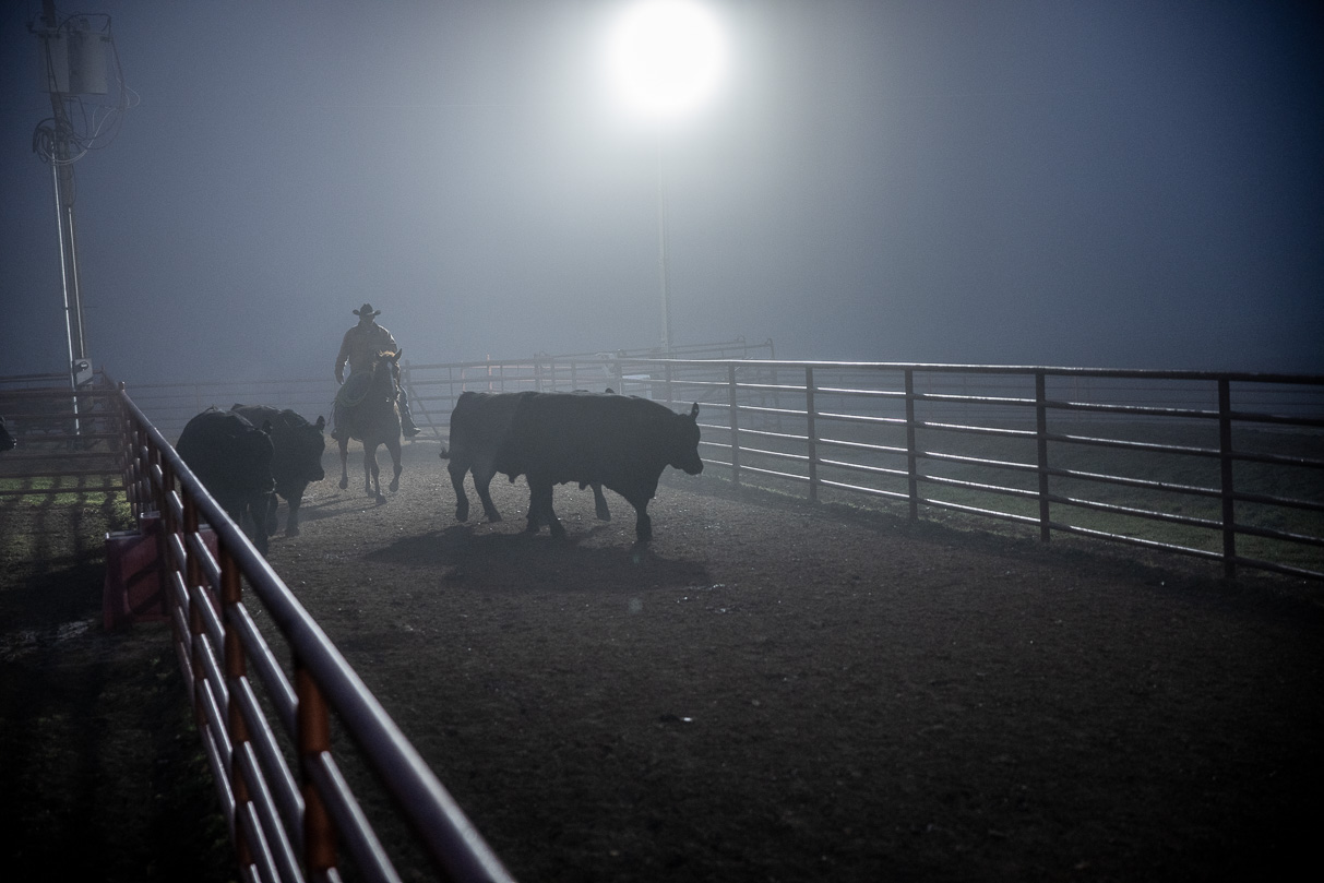 44Farms_Cameron_BullSale_Feb2021-515645