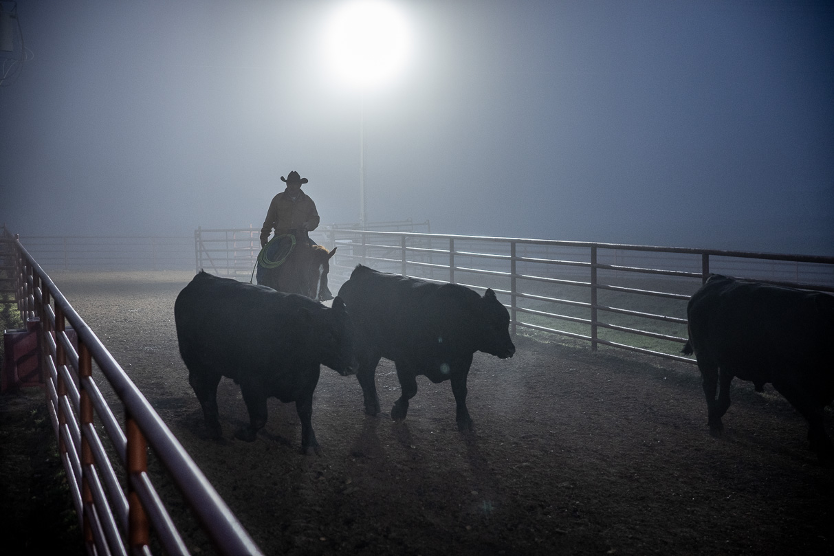 44Farms_Cameron_BullSale_Feb2021-515656