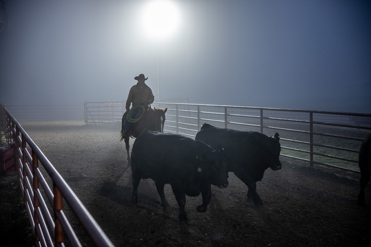 44Farms_Cameron_BullSale_Feb2021-515659