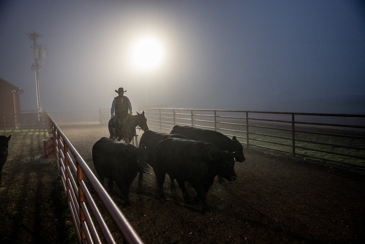 44Farms_Cameron_BullSale_Feb2021-515700