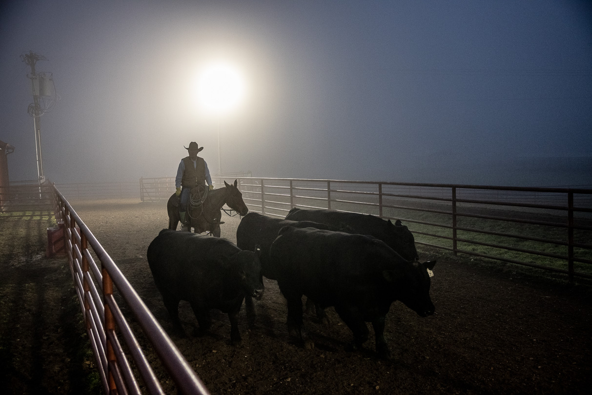 44Farms_Cameron_BullSale_Feb2021-515702