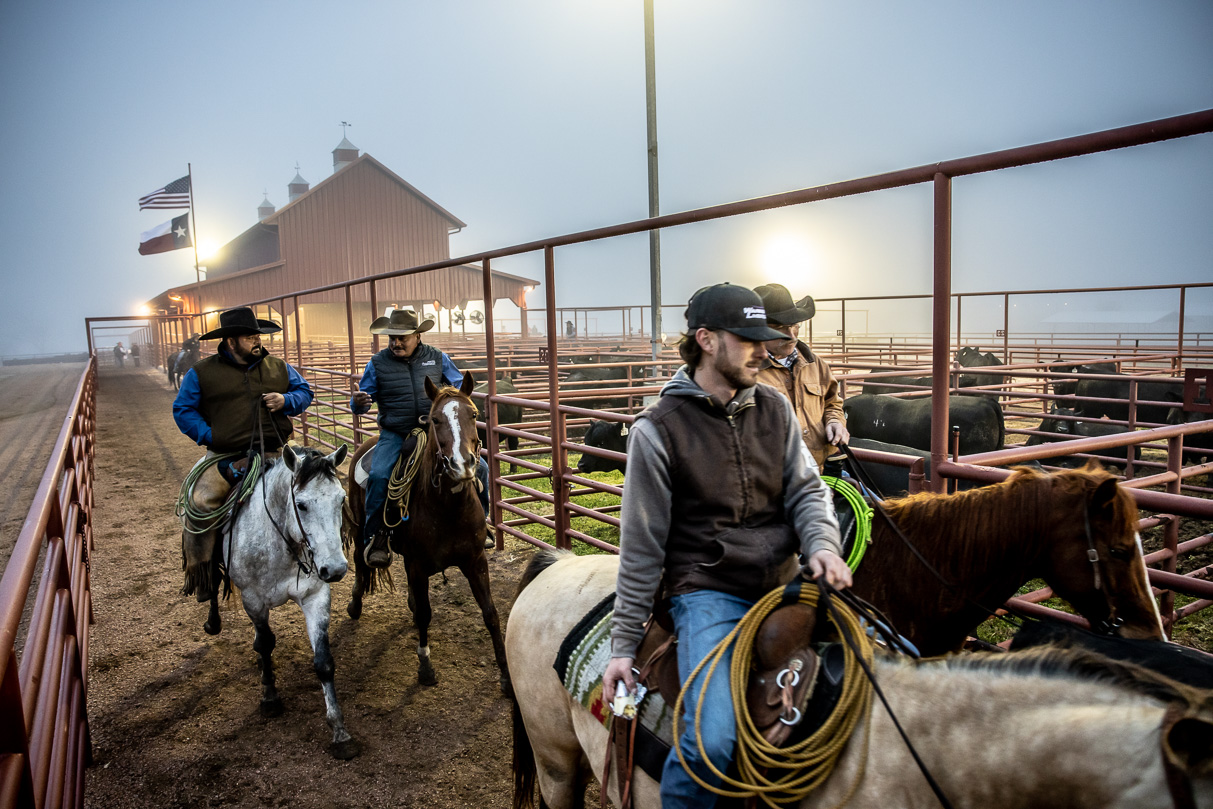 44Farms_Cameron_BullSale_Feb2021-515929