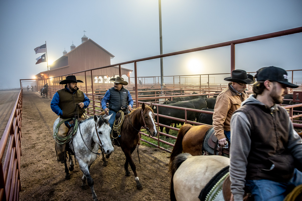 44Farms_Cameron_BullSale_Feb2021-515932
