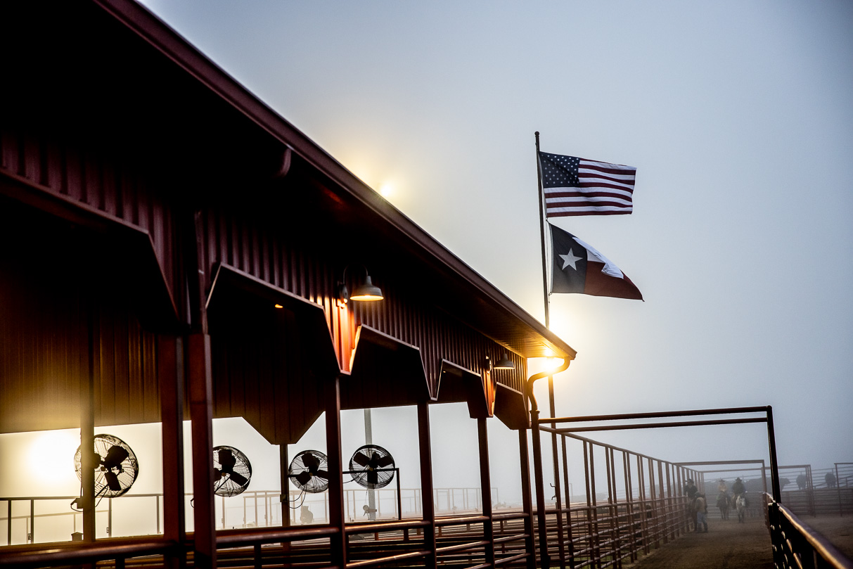 44Farms_Cameron_BullSale_Feb2021-515957
