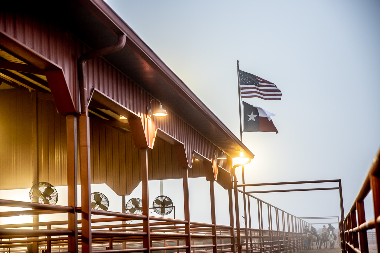 44Farms_Cameron_BullSale_Feb2021-515968