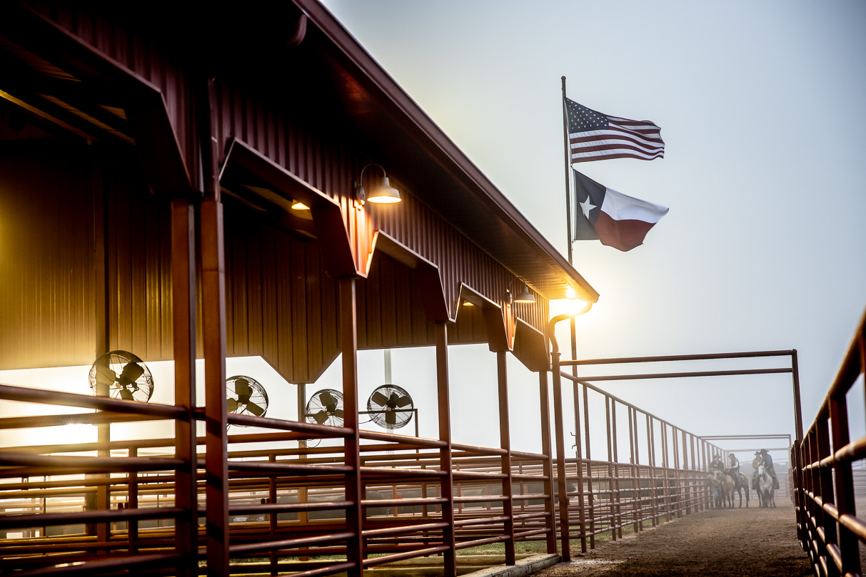 44Farms_Cameron_BullSale_Feb2021-515972