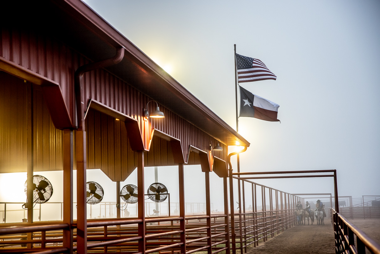44Farms_Cameron_BullSale_Feb2021-515976