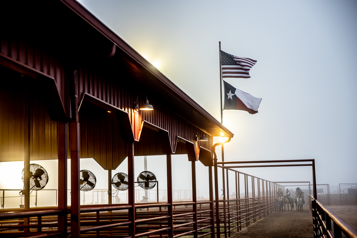 44Farms_Cameron_BullSale_Feb2021-515977