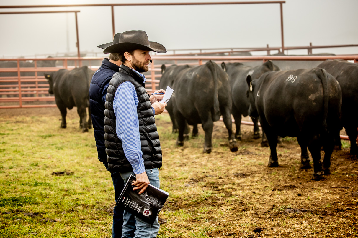 44Farms_Cameron_BullSale_Feb2021-515996