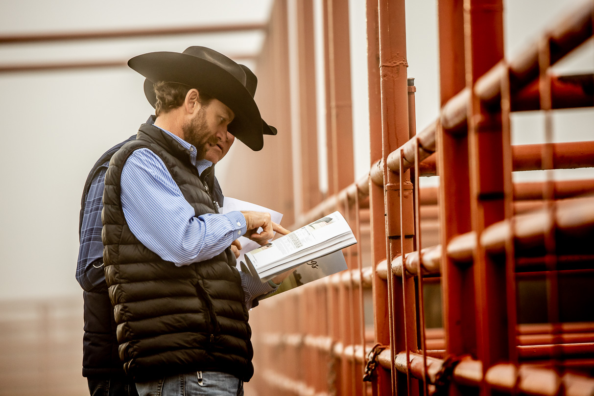 44Farms_Cameron_BullSale_Feb2021-516005