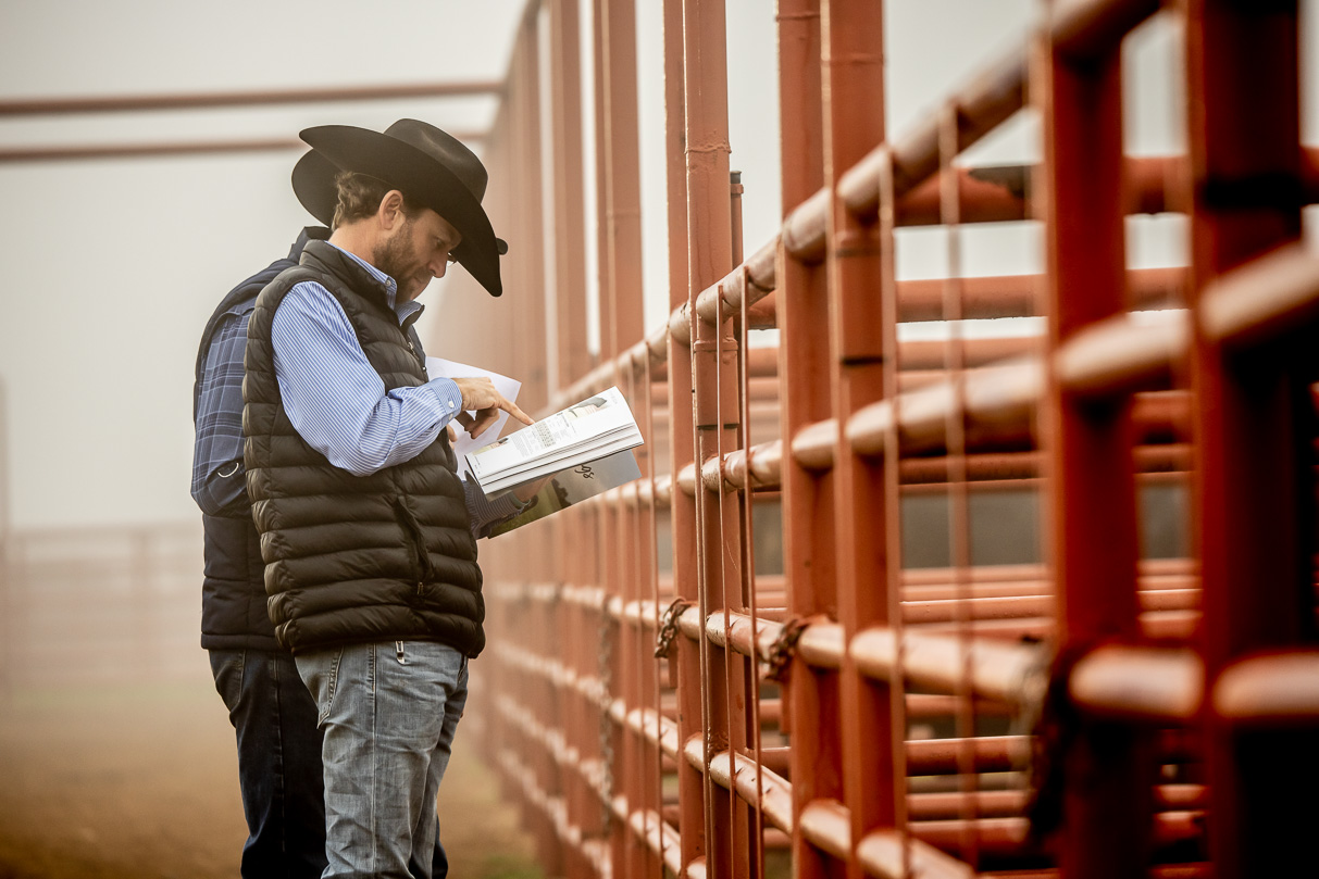 44Farms_Cameron_BullSale_Feb2021-516009