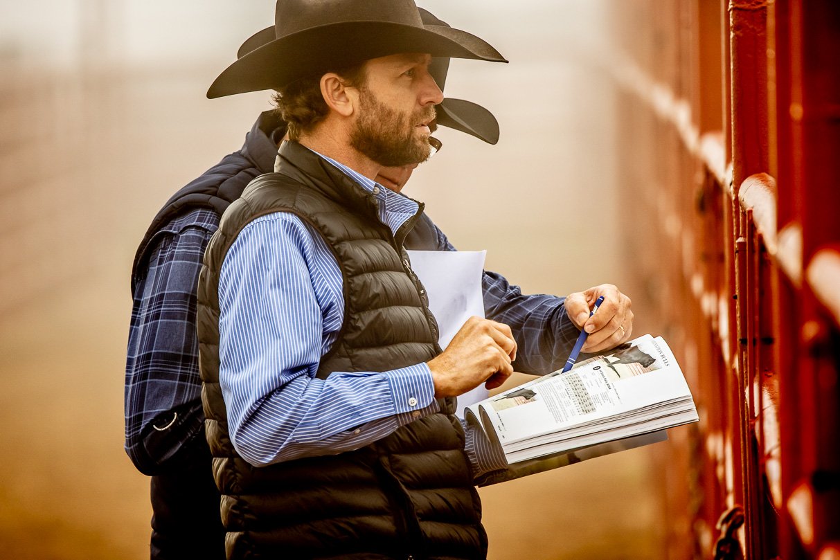 44Farms_Cameron_BullSale_Feb2021-516014