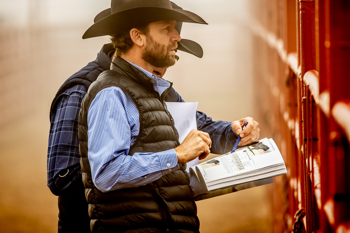 44Farms_Cameron_BullSale_Feb2021-516015