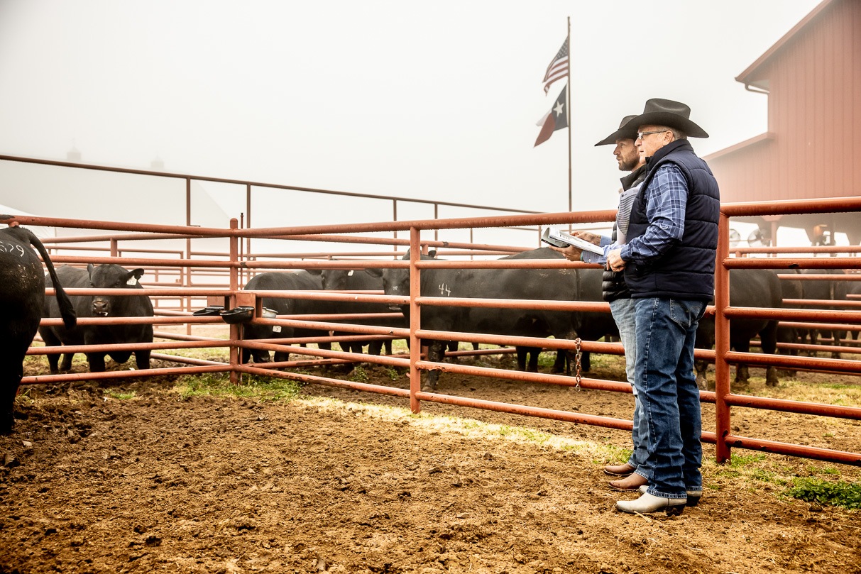 44Farms_Cameron_BullSale_Feb2021-516023