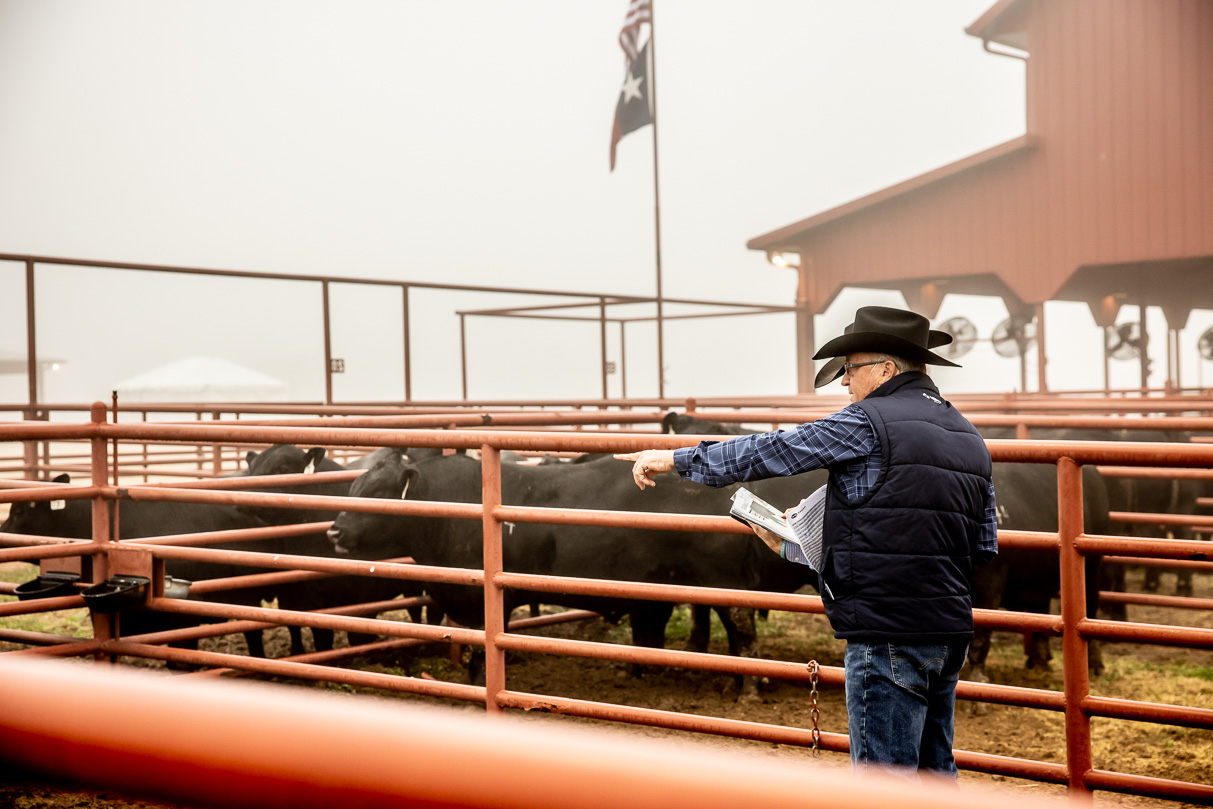 44Farms_Cameron_BullSale_Feb2021-516037