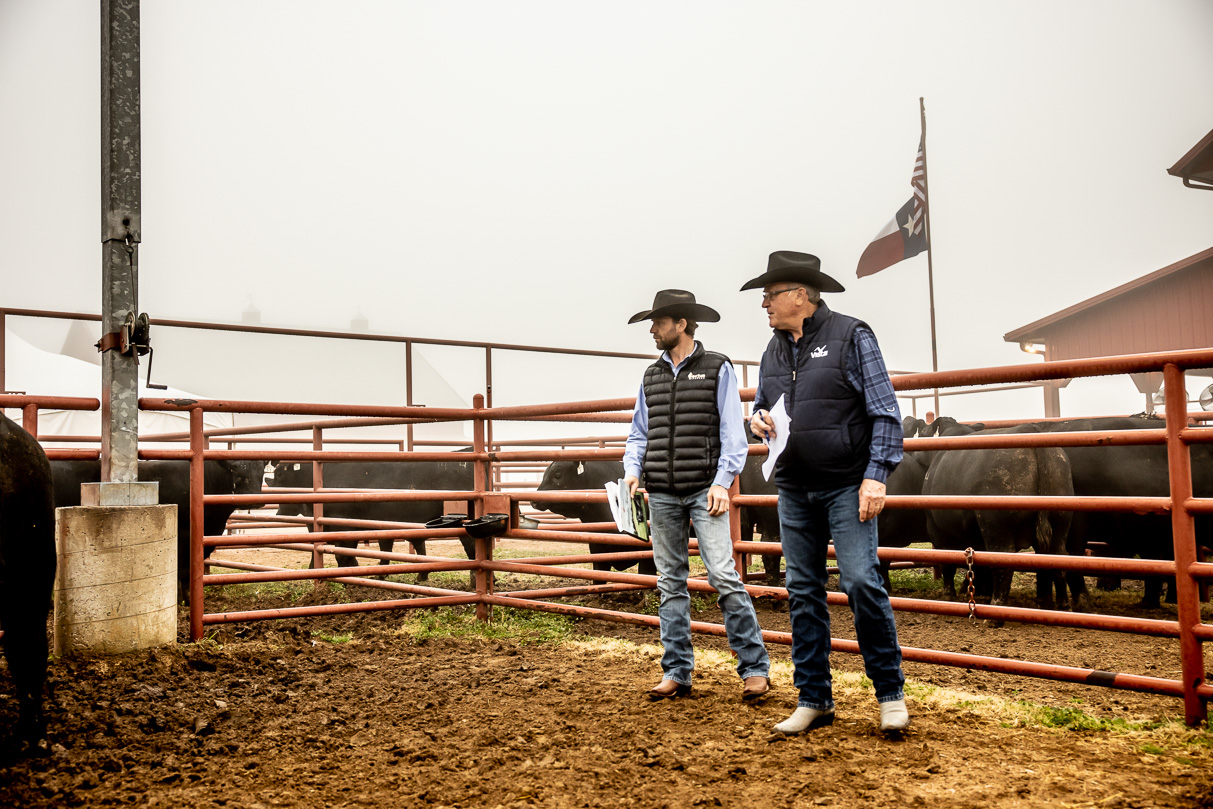 44Farms_Cameron_BullSale_Feb2021-516068