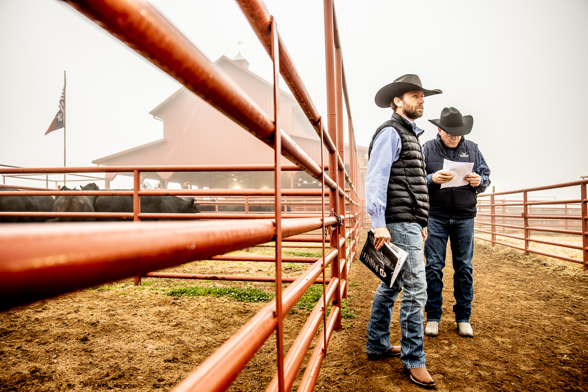 44Farms_Cameron_BullSale_Feb2021-516091