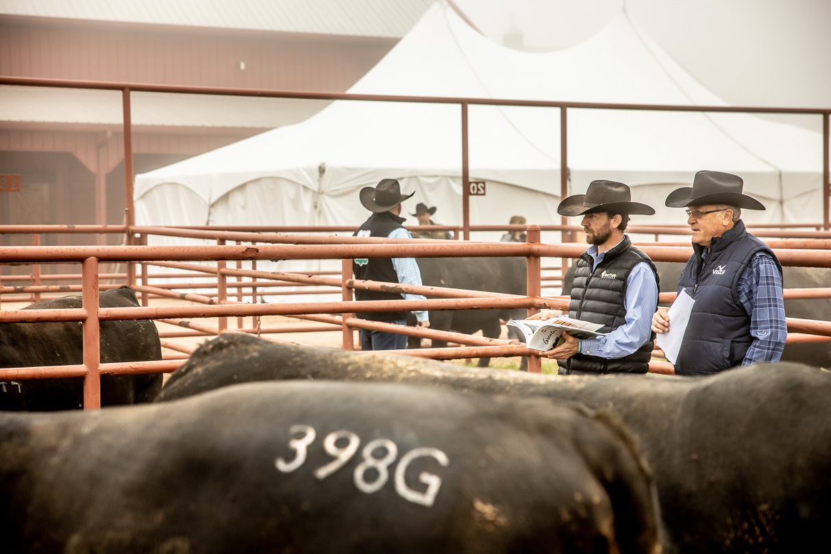 44Farms_Cameron_BullSale_Feb2021-516107